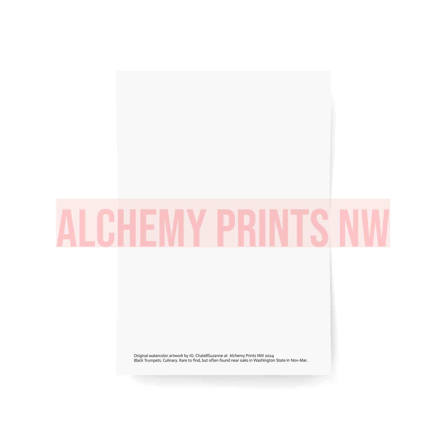 Greeting Cards (1, 10, 30, and 50pcs)