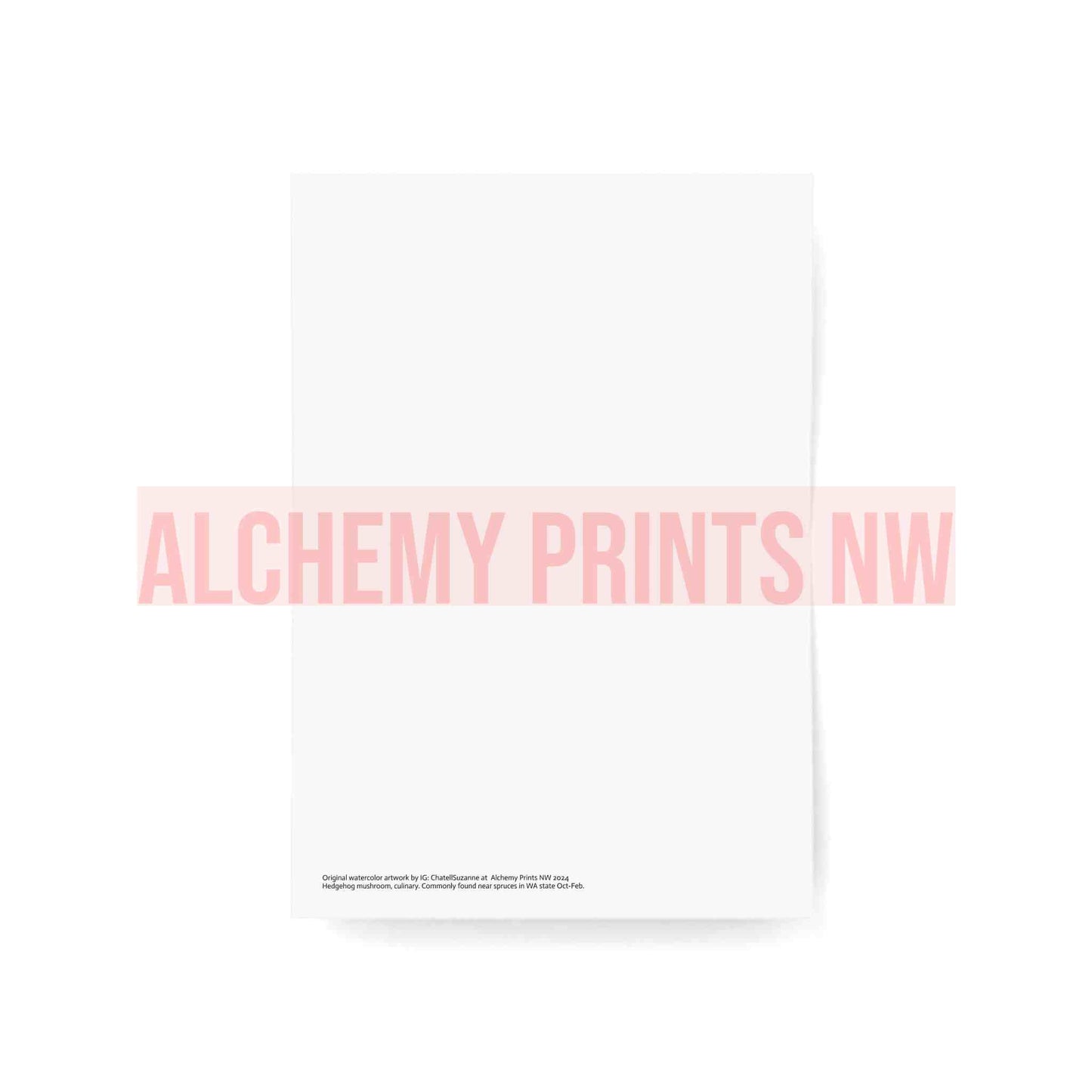 Hint of Christmas Cards (1, 10, 30, and 50pcs)