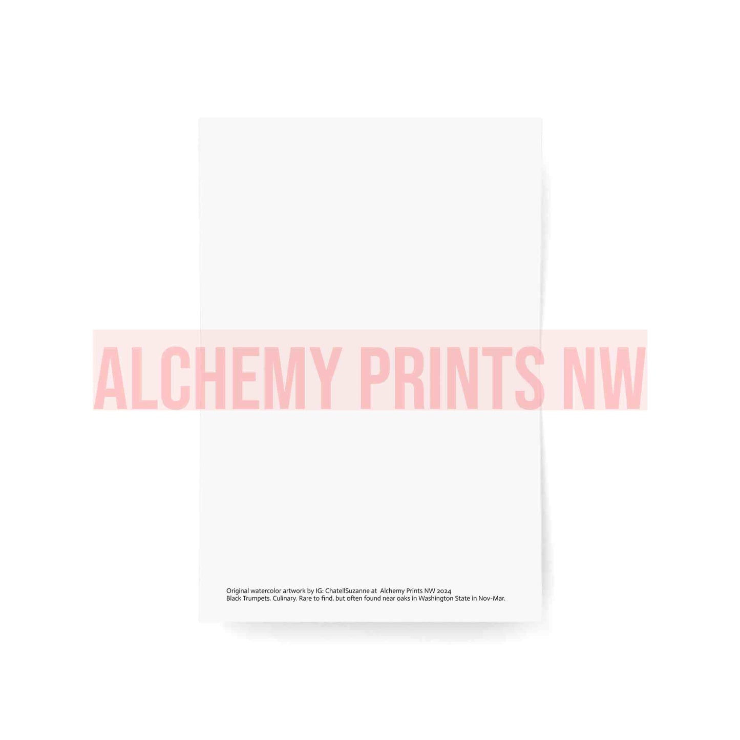 Greeting Cards (1, 10, 30, and 50pcs)