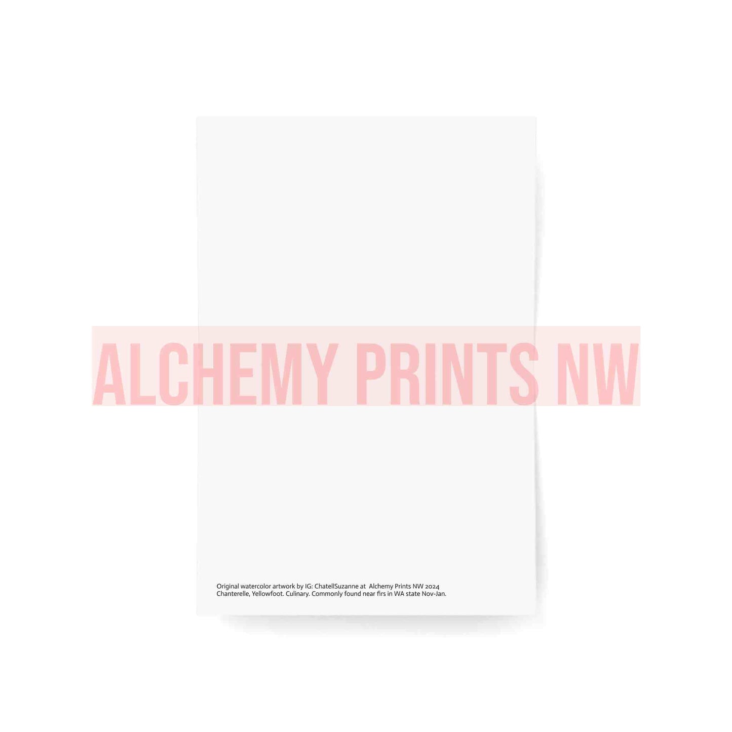 Greeting Cards (1, 10, 30, and 50pcs)