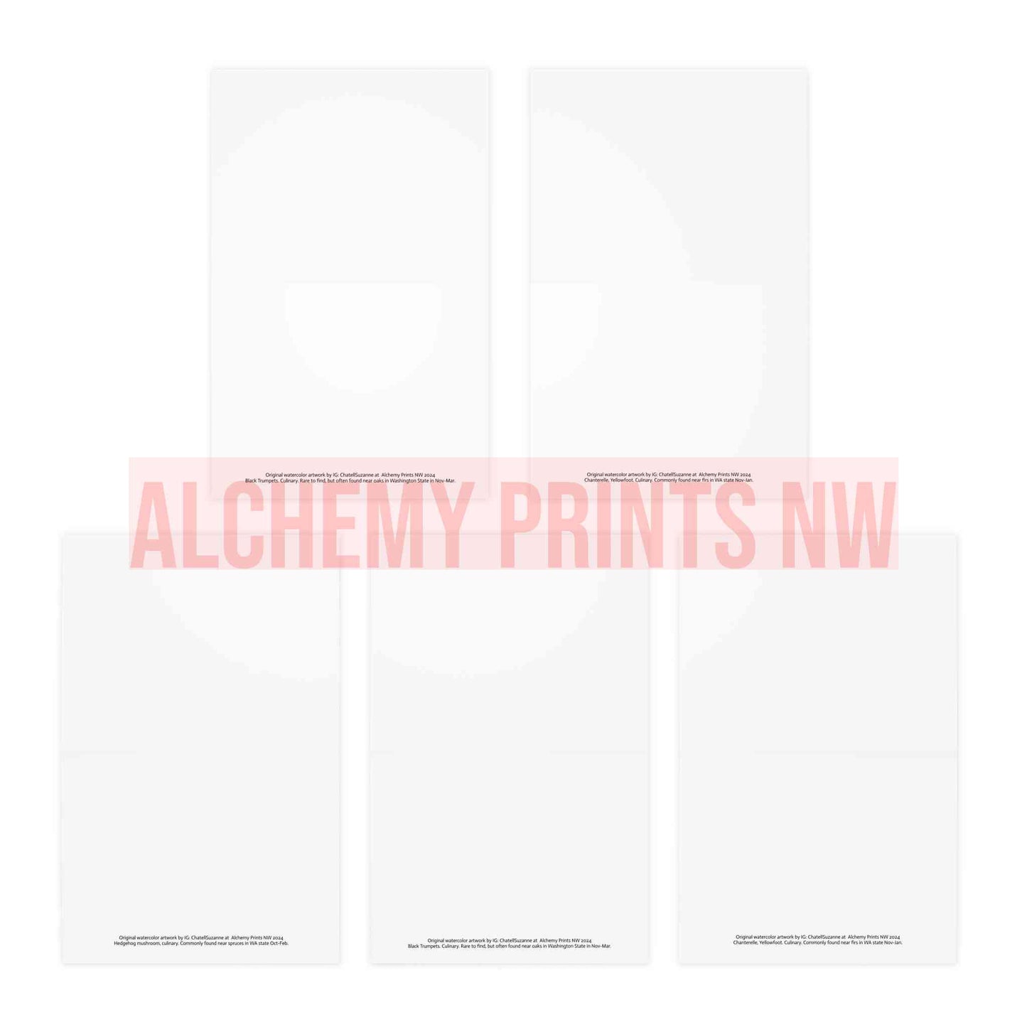 Greeting Cards (5-Pack) Multi-Design