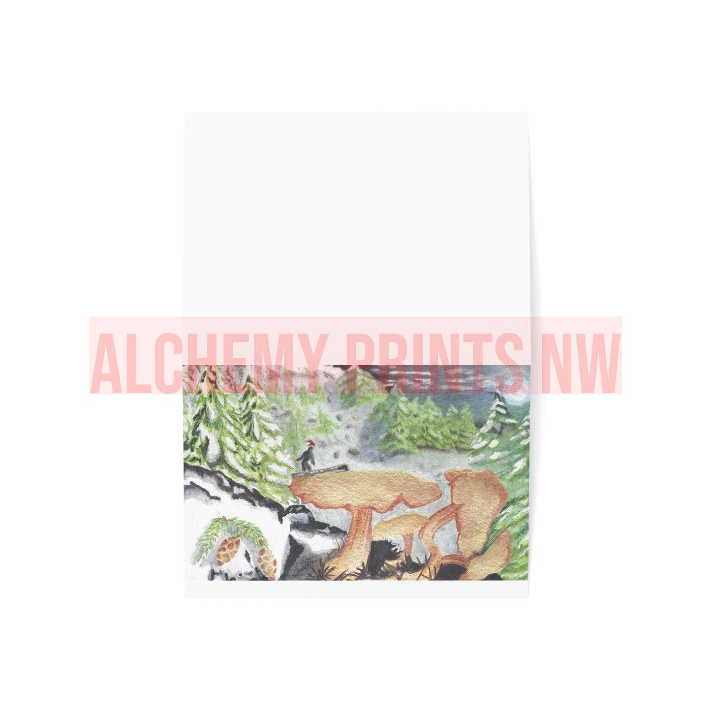 Greeting Cards (1, 10, 30, and 50pcs)