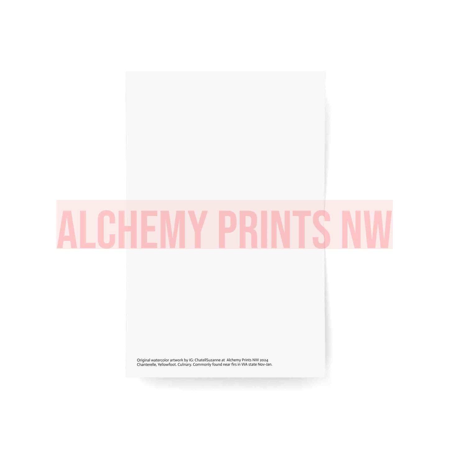 Greeting Cards (1, 10, 30, and 50pcs)
