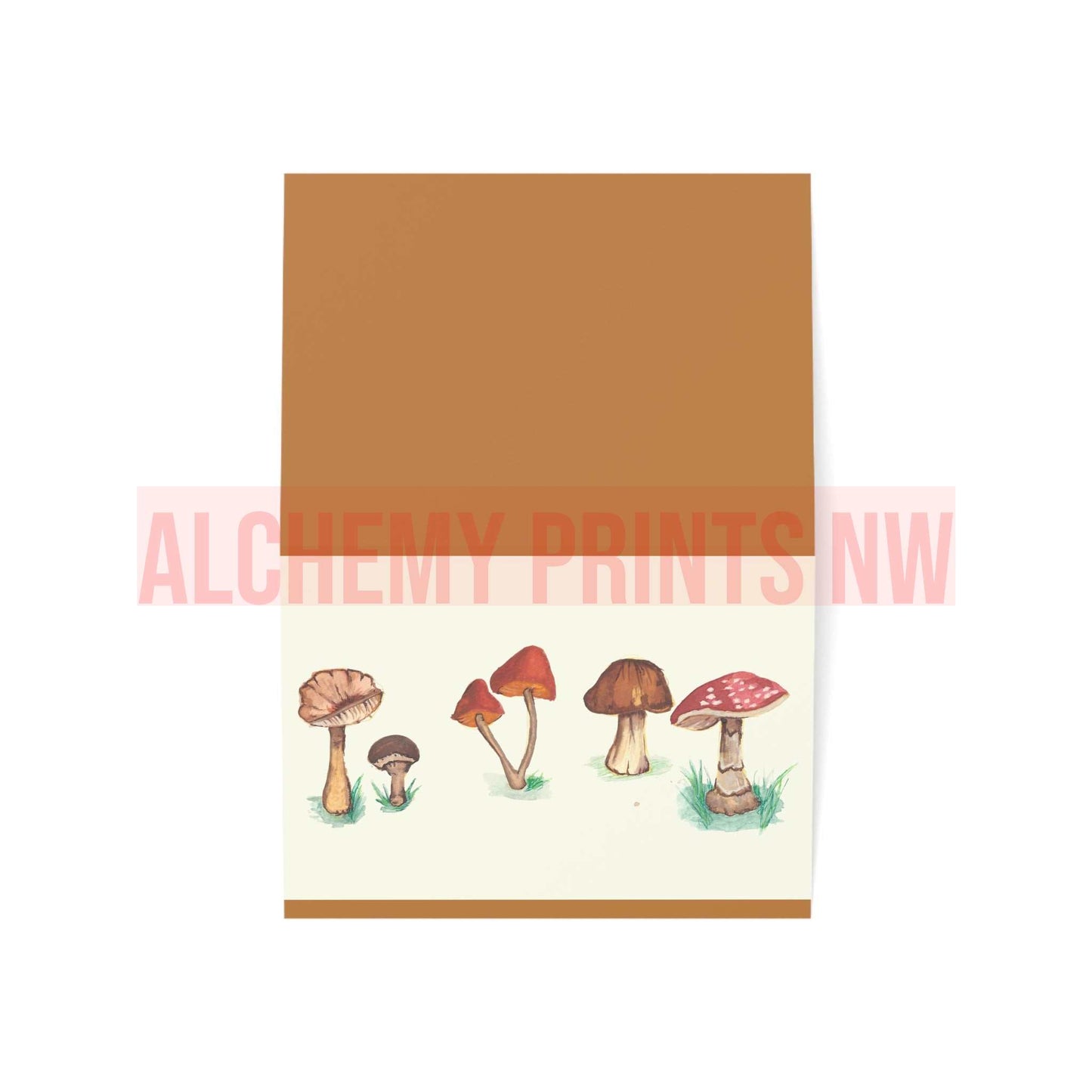 Greeting Thank You Cards (1, 10, 30, and 50pcs)