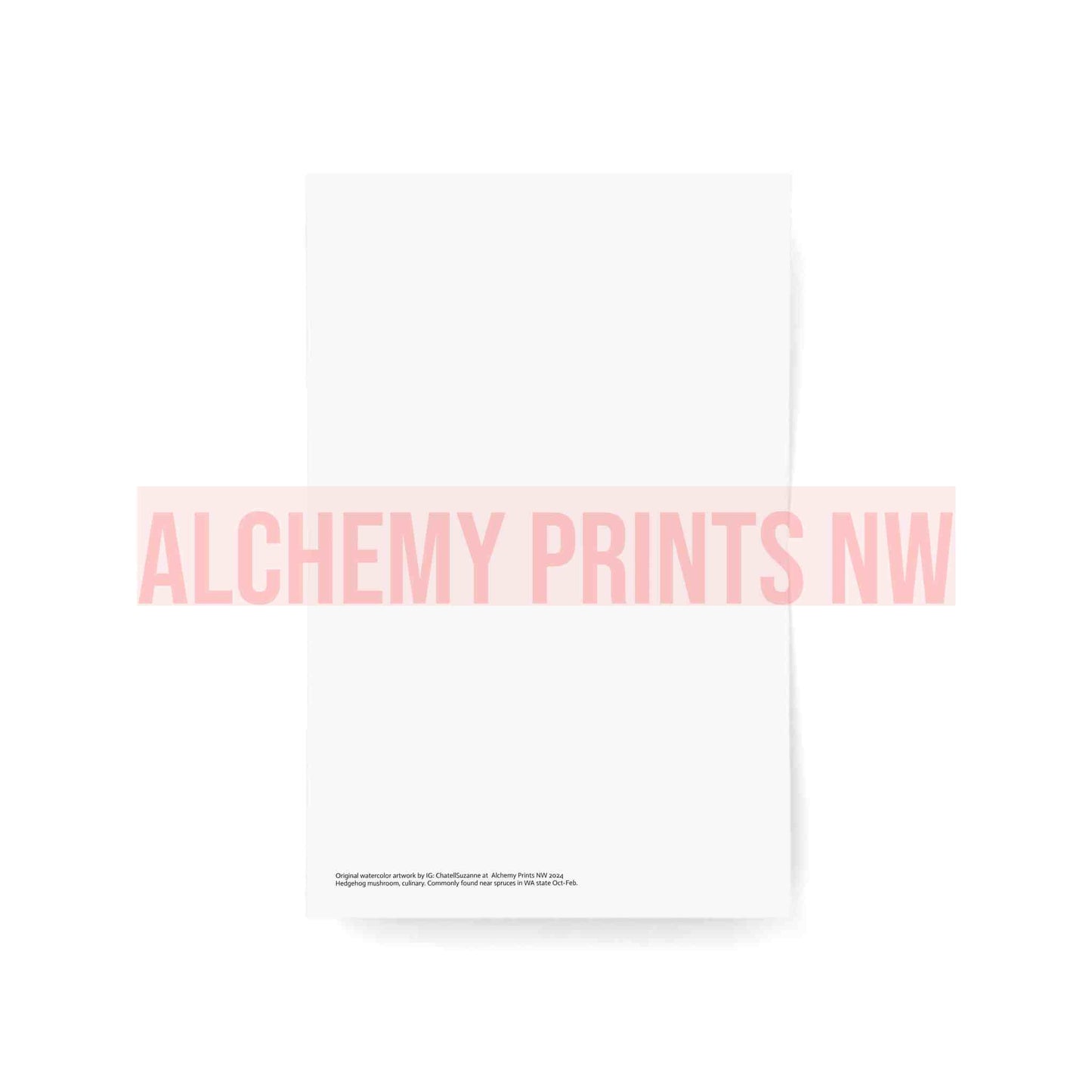 Hint of Christmas Cards (1, 10, 30, and 50pcs)