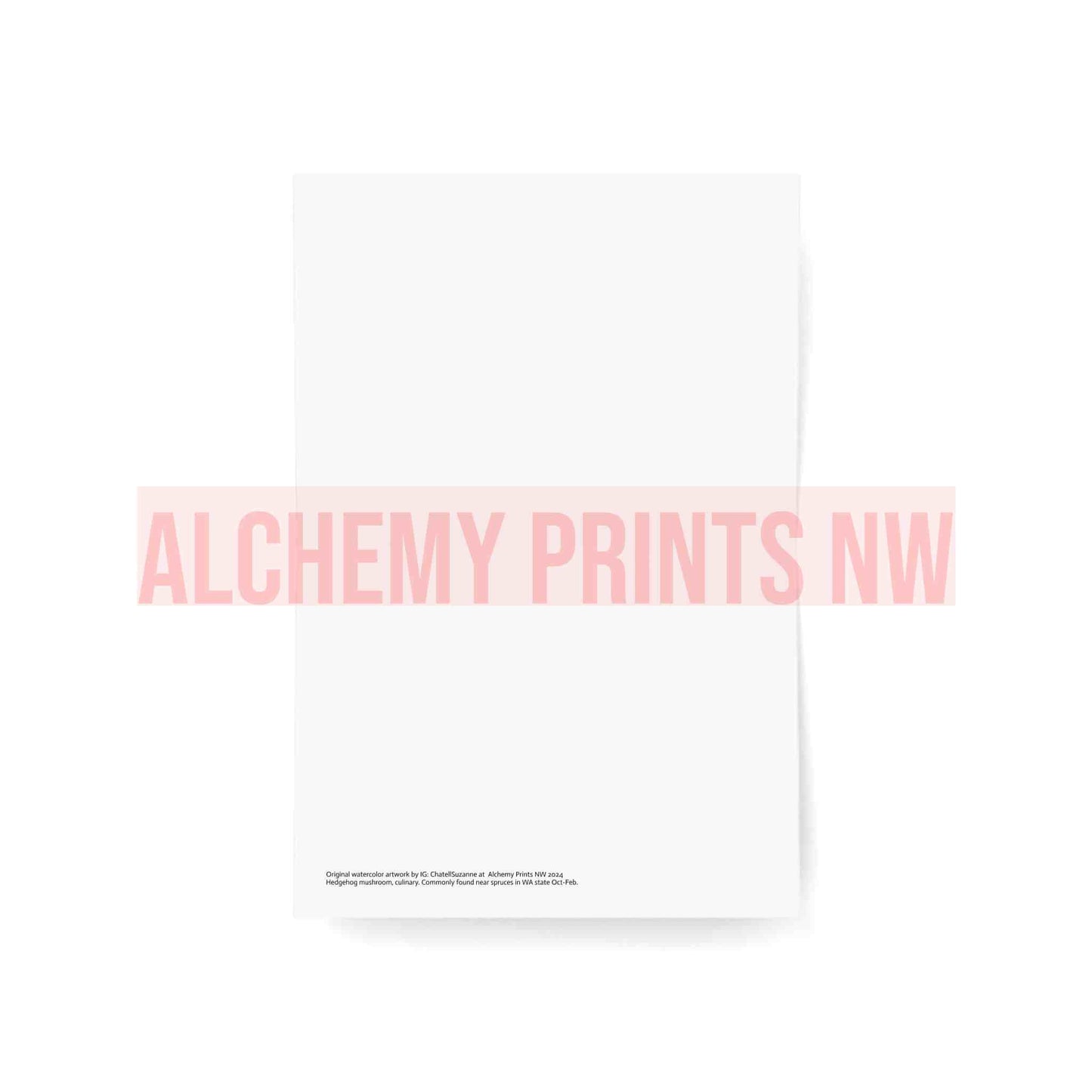 Hint of Christmas Cards (1, 10, 30, and 50pcs)