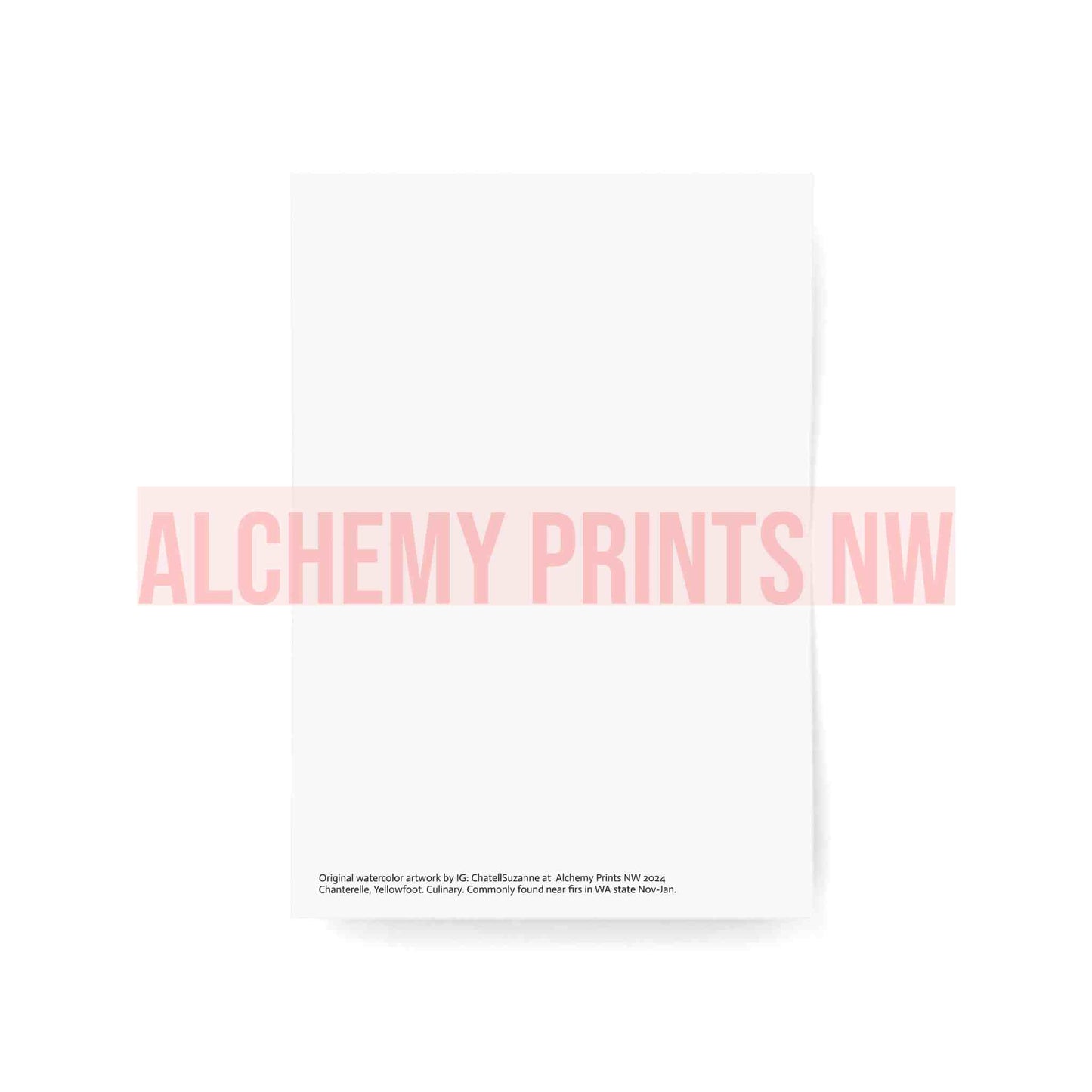Greeting Cards (1, 10, 30, and 50pcs)