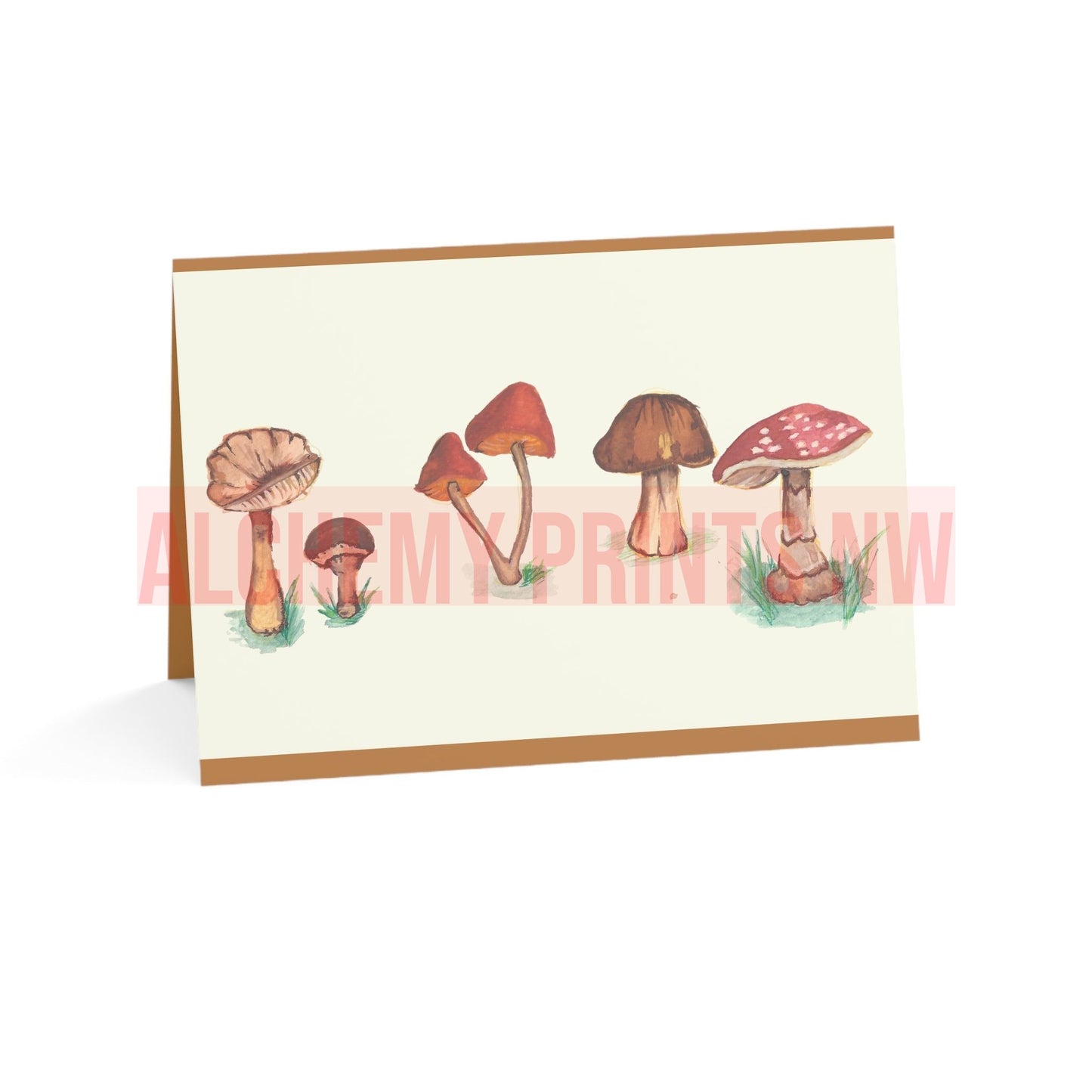 Greeting Thank You Cards (1, 10, 30, and 50pcs)